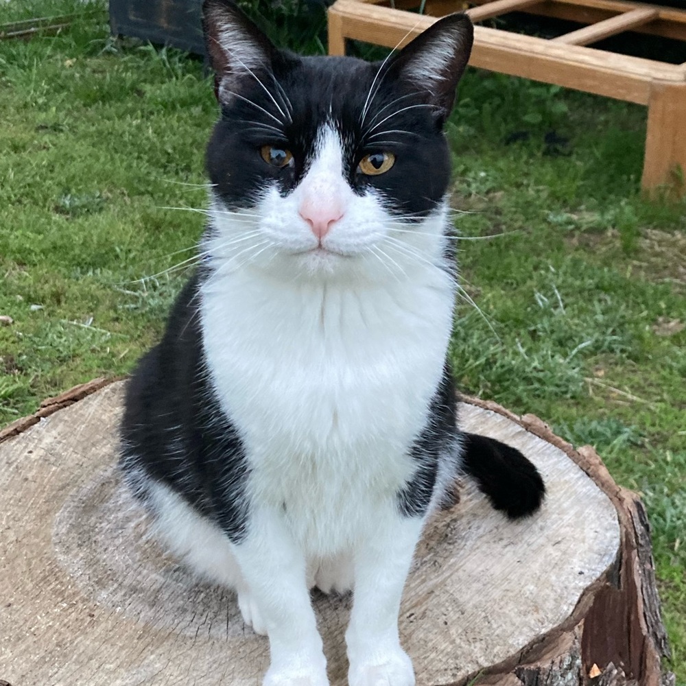 Meet your Posher, Zeneida